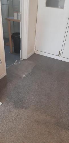 20210918 115037 resized