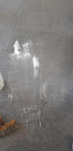 20210918 132903 resized