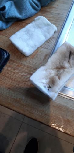 20230902 154057 resized