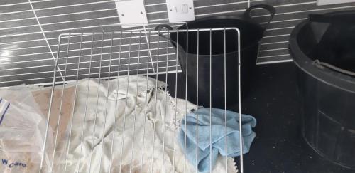 20240721 165844 resized